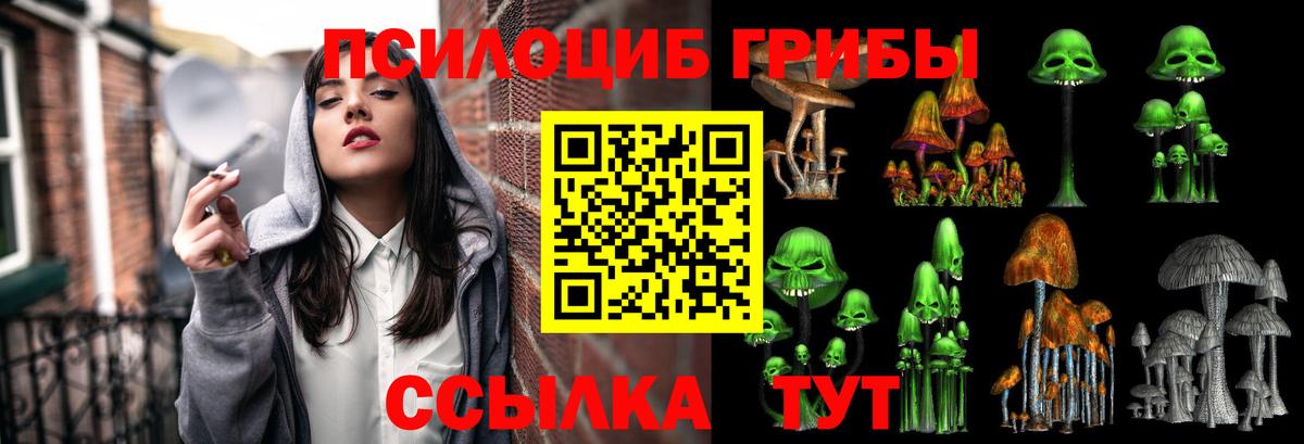 Галлюциногенные грибы Magic Shrooms  Вход с VPN  Усть-Илимск  Псилоцибиновые грибы Psilocybine cubensis 